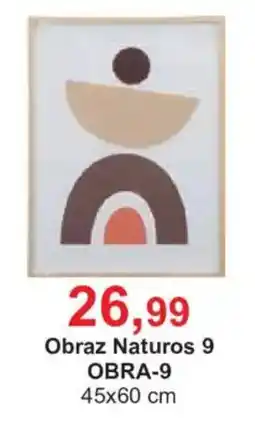 Meble Bodzio Obraz Naturos 9 oferta
