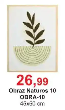 Meble Bodzio Obraz Naturos 10 oferta