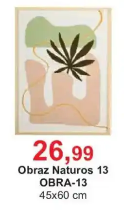 Meble Bodzio Obraz Naturos 13 oferta