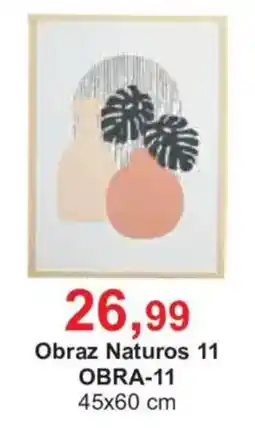 Meble Bodzio Obraz Naturos 11 oferta