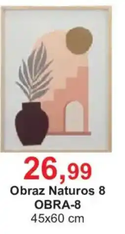 Meble Bodzio Obraz Naturos 8 oferta