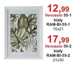 Meble Bodzio Venussio 55-1 oferta