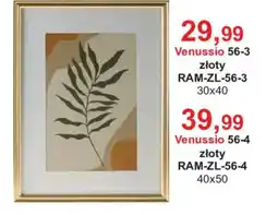 Meble Bodzio Venussio 56-3 oferta