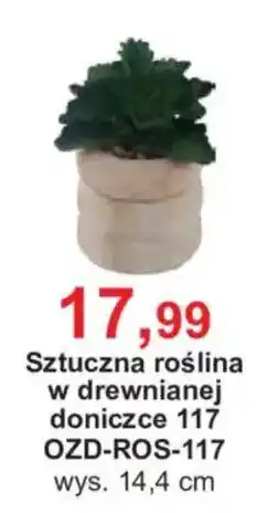 Meble Bodzio Sztuczna roślina w drewnianej doniczce oferta