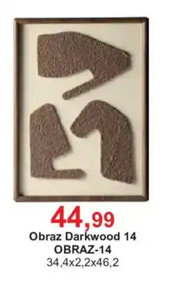 Meble Bodzio Obraz Darkwood 14 oferta