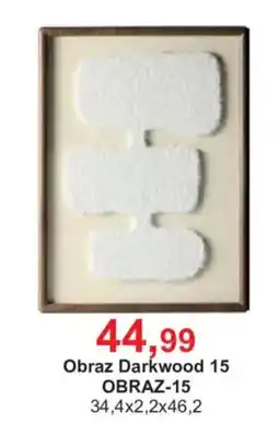 Meble Bodzio Obraz Darkwood 15 oferta