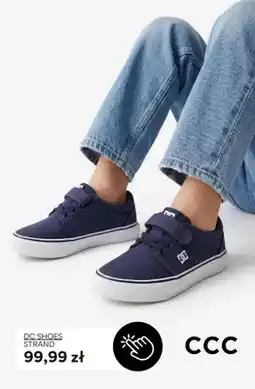 CCC Buty sportowe DC Shoes Strand oferta