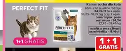 Carrefour Karma sucha dla kota Perfect Fit oferta