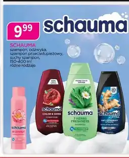Drogerie Polskie Szampon do włosów Schauma 7 Herbs Freshness oferta