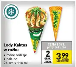 Makro Lody Kaktus w rożku oferta