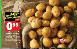 Topaz Ziemniaki wczesne polskie oferta