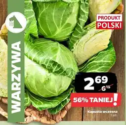 Netto Kapusta wczesna polska oferta