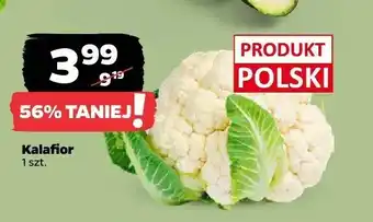 Netto Kalafior polski oferta