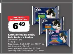 Netto Karma dla kotów Felix Fantastic Purina oferta