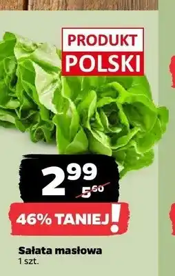 Netto Sałata masłowa polska oferta