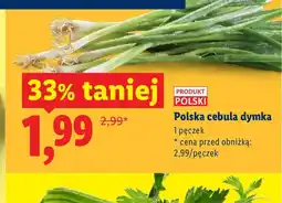 Lidl Cebula dymka polska oferta