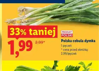 Lidl Cebula dymka polska oferta