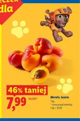 Lidl Morele luzem oferta