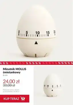 Homla Minutnik kuchenny MOLLIS śmietankowy oferta