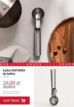 Homla Łyżka do lodów Ontario 18 cm oferta