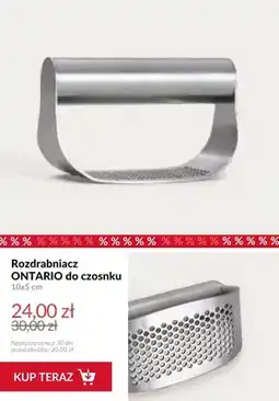 Homla Rozdrabniacz do czosnku Ontario oferta