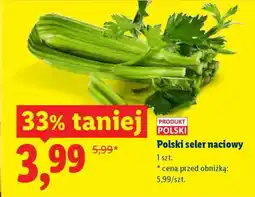 Lidl Polski seler naciowy oferta