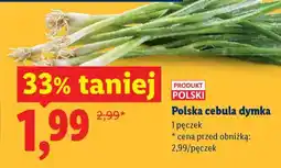 Lidl Polska cebula dymka oferta