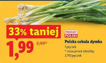 Lidl Polska cebula dymka oferta