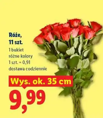 Lidl Róże, 11 szt oferta