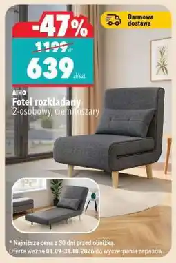 Biedronka Fotel rozkładany oferta
