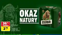 Carrefour Piwo ŻUBR oferta