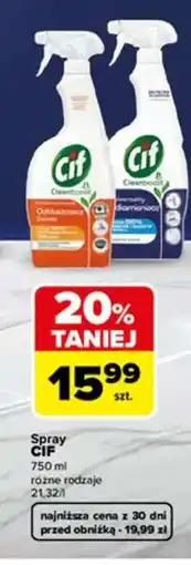 Carrefour Spray CIF oferta