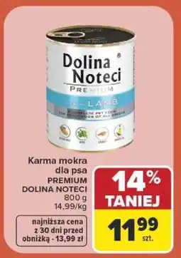 Carrefour Dolina Noteci premium oferta