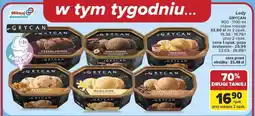 Carrefour Lody Grycan oferta