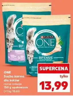 Kaufland ONE Sucha karma dla kotów oferta