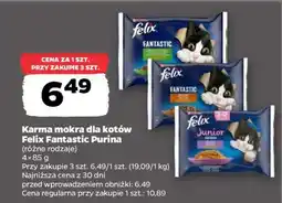 Netto Felix Fantastic Purina oferta