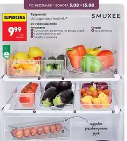 Biedronka Pojemniki oferta