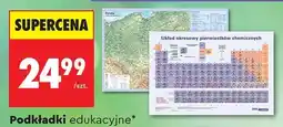 Biedronka Podkładki edukacyjne oferta