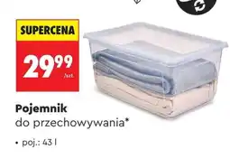 Biedronka Pojemnik oferta