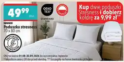 Biedronka Poduszka Stresness oferta