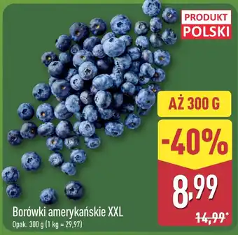 ALDI Borówki amerykańskie XXL oferta