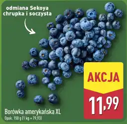 ALDI Borówka amerykańska XL oferta