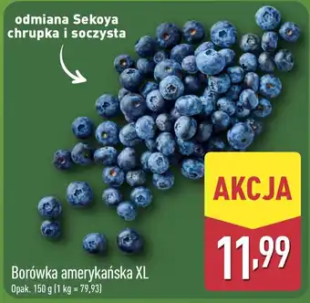 ALDI Borówka amerykańska XL oferta
