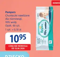 dm drogerie markt Pampers Chusteczki nawilżane dla niemowląt, 99% wody oferta