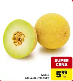 Carrefour Market Melon GALIA, CANTALOUPE oferta