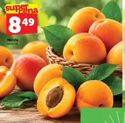 Topaz Morela oferta