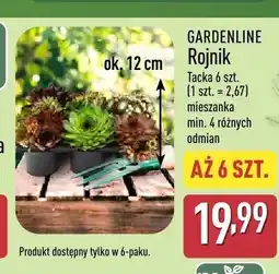 ALDI Rojnik Gardenline oferta