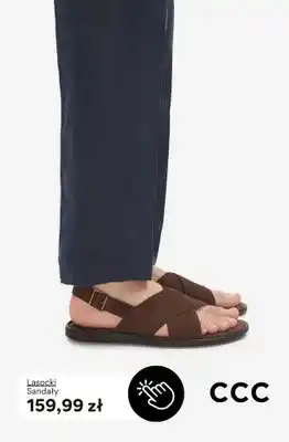 CCC Sandały Lasocki oferta