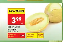 Biedronka Melon Galia na wagę oferta