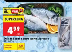 Biedronka Dorada świeża patroszona Marinero oferta